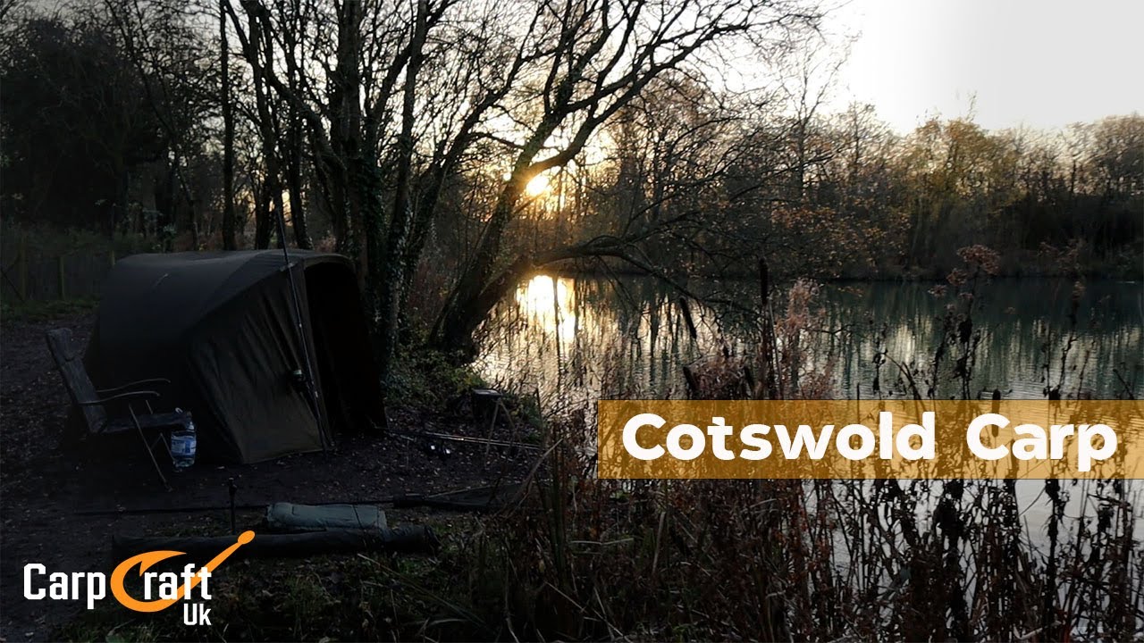 Cotswold Carp - The quest for scaley carp