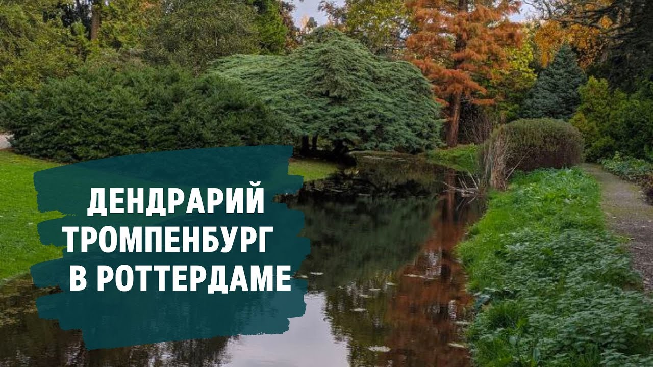 Trompenburg Tuinen & Arboretum. ТИХИЕ ТРОПИНКИ ТРОМПЕНБУРГА.
