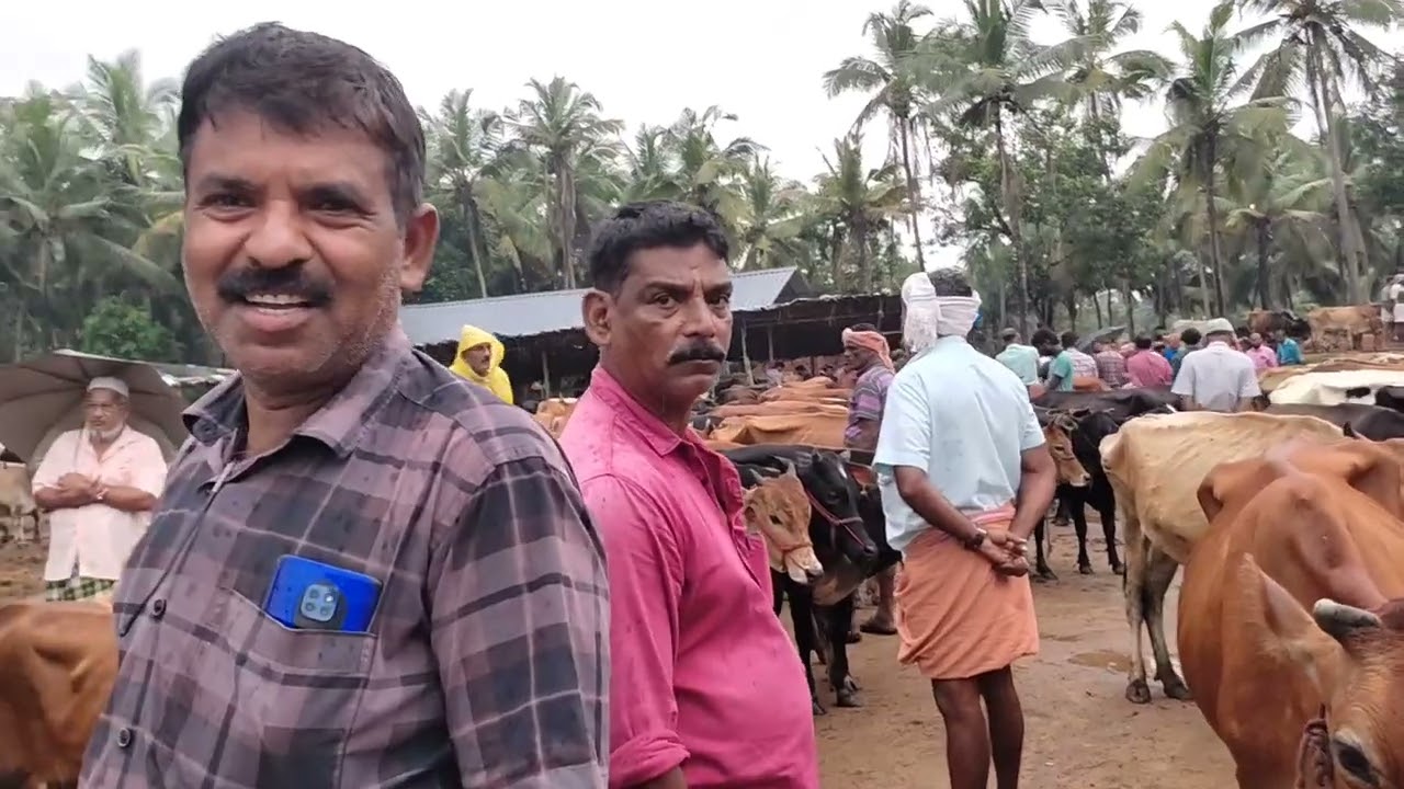 ഇന്നത്തെ കൊള്ളന്നൂർ ചന്ത 21_10_2024#simple_work യൂട്യൂബ് ചാനൽ