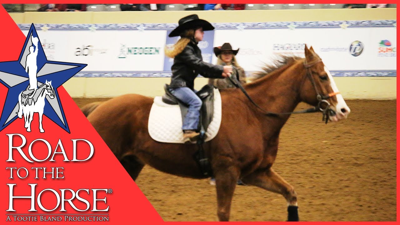 Road to the Horse 2017 - Extra Footage - Barbara Cox Clinic