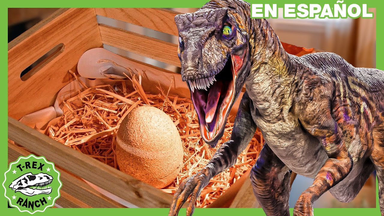 Dinosaurio raptor en la casa! | Videos de dinosaurios y juguetes para niños