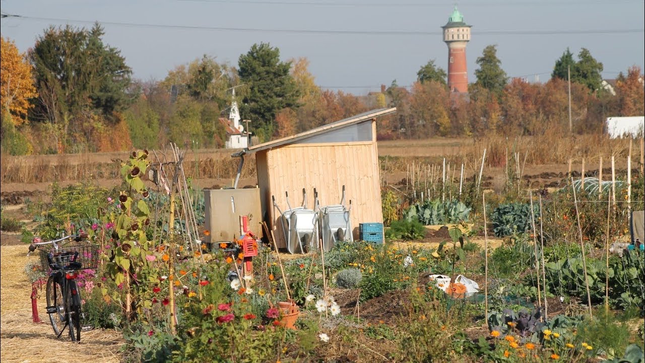Saisonstart auf dem Mikro Landwirtschaft Gemeinschaftsacker