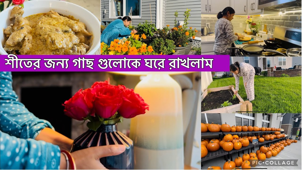 বাকি বাজার গুলো আজ করে ফেল্লাম || আজ অনেক দিন পর বানালাম এই Recipe টা || আজ গাছ গুলকে ঘরে রাখলাম ।