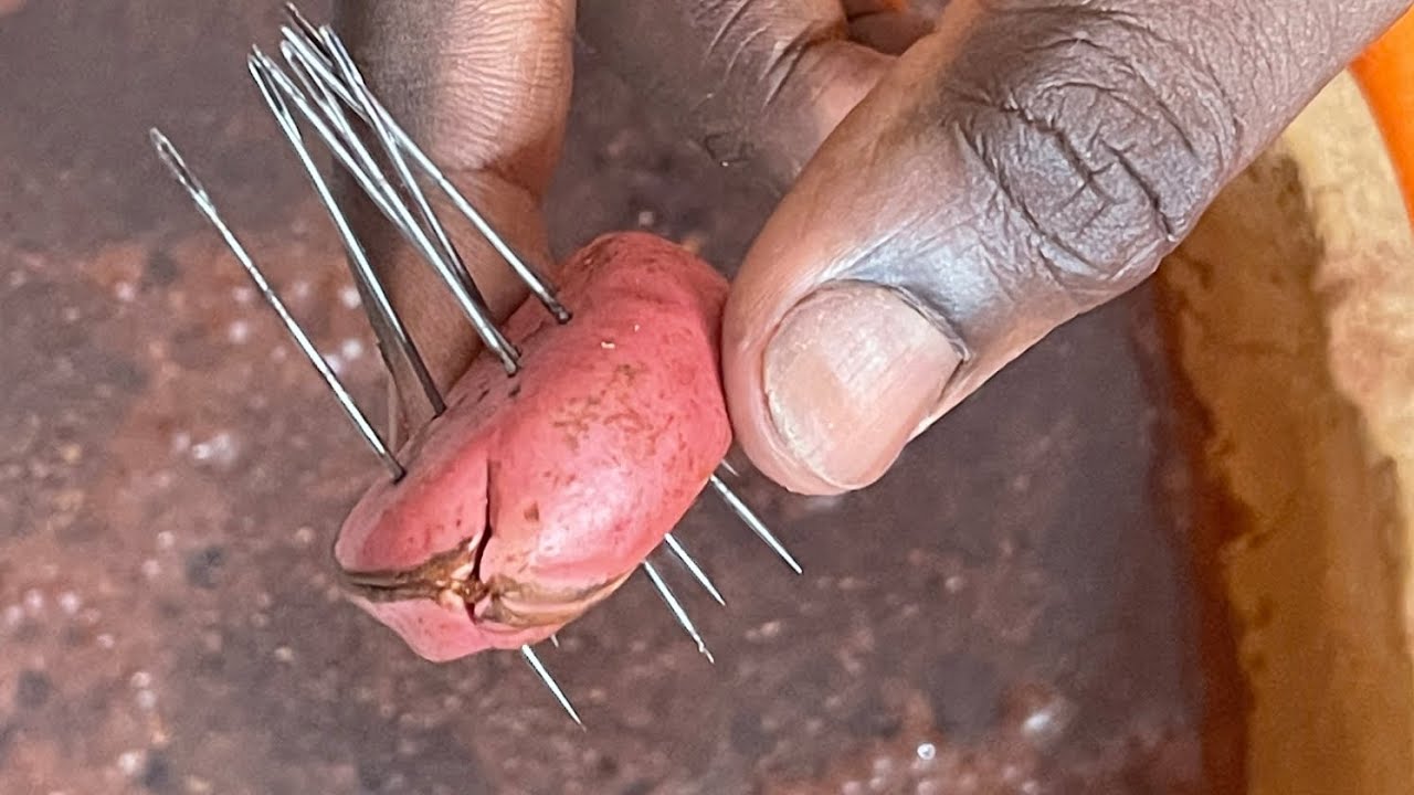 xamxam li secret bou bakh lolou la ligueye déloko thiatt dakouy dindi si lou waw da oubéyite....