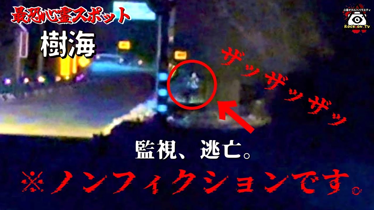 青木ヶ原樹海の中で「人」に出会ってしまった【心霊・人怖】