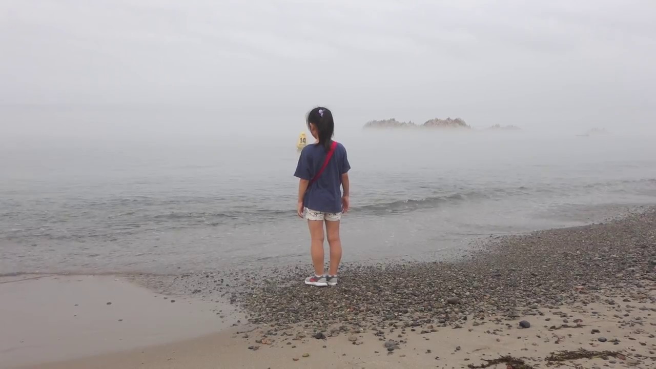 2017.07.24 경주 감은사지와 문무대왕릉(Gameunsaji Temple Site and Underwater Tomb of King Munmu)