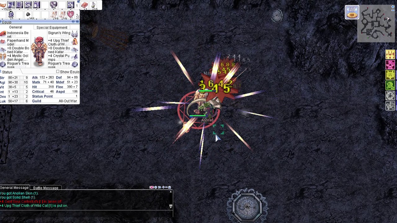 ROPH PURE CRITICAL Assassin Cross Anolian grinding