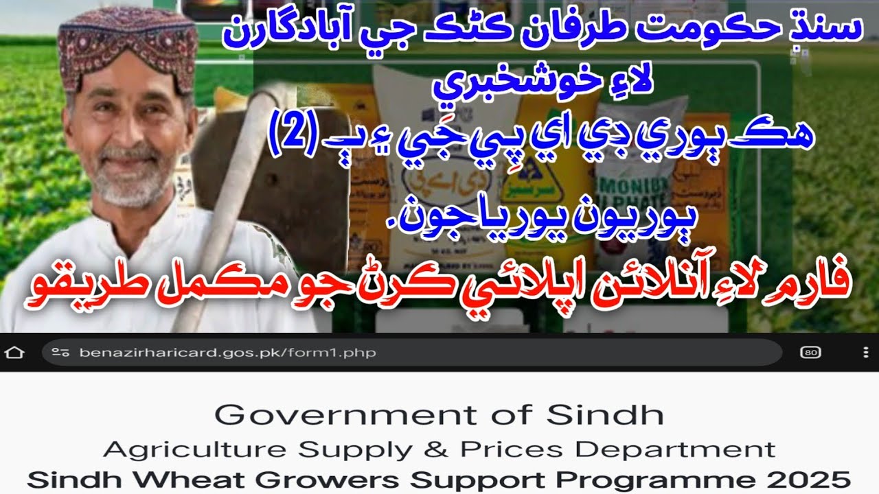 Sindh Wheat Support Program Online application process Sindh DAP & urea subsidy #benazirharicard