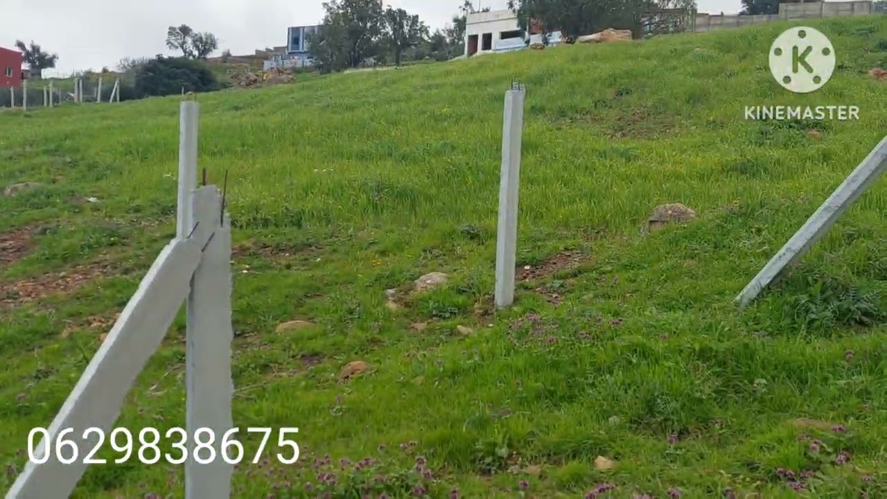 قطعة ارضية ملكية قابلة لتحفض مساحتها 1200mt لتواصل معي رقم الهاتف 📱 0629838675