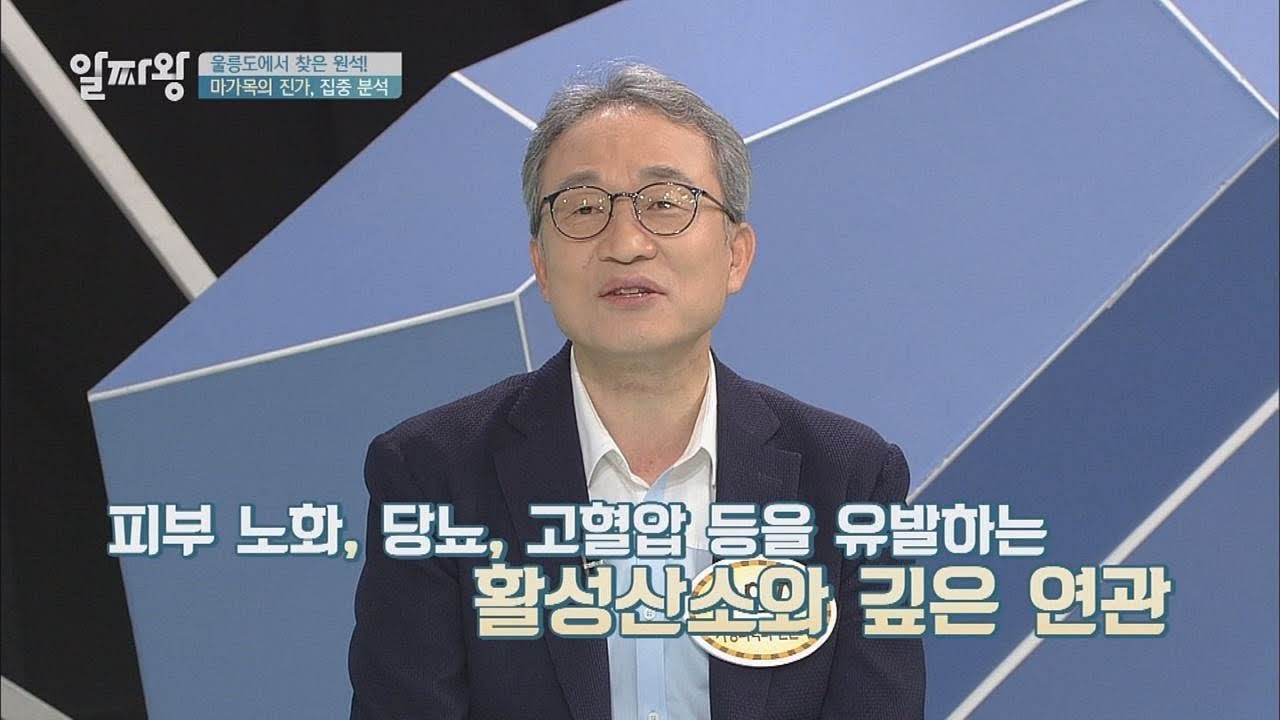 36가지 중풍을 낫게 하는 '마가목'의 진가는?! TV정보쇼 알짜왕 79회