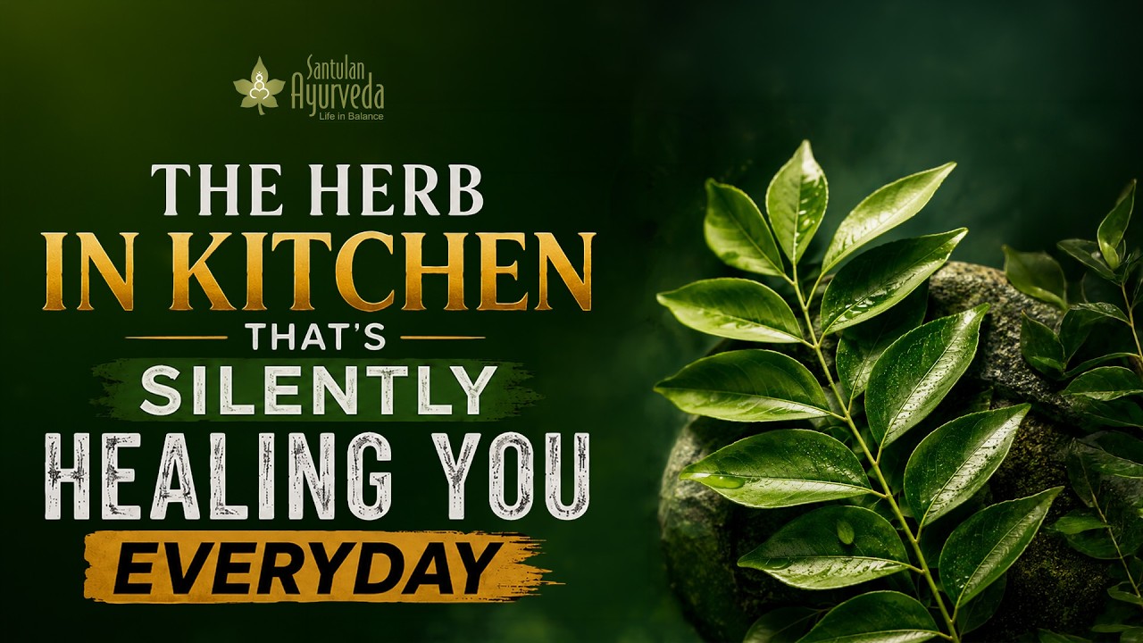 Curry Leaves: The Secret Kitchen Herb With Surprising Health Benefits!