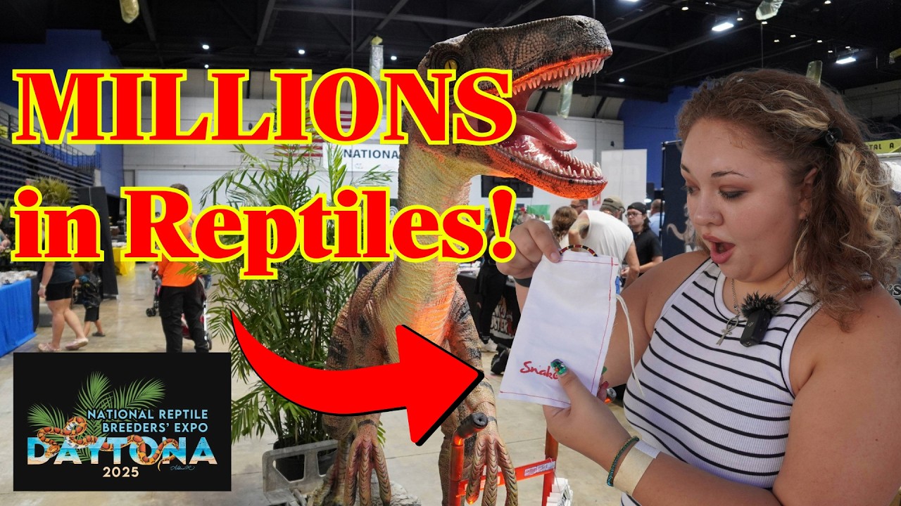 Buying a VENOMOUS snake at the LARGEST Reptile Show in the country! | Daytona Reptile Breeders Expo