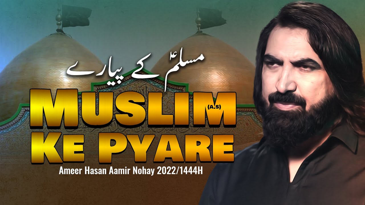 Muslim Ke Pyare Bacchon Ka Sar | Ameer Hasan Aamir 2022 | Noha Tiflan E Muslim 2022 | New Noha 2022
