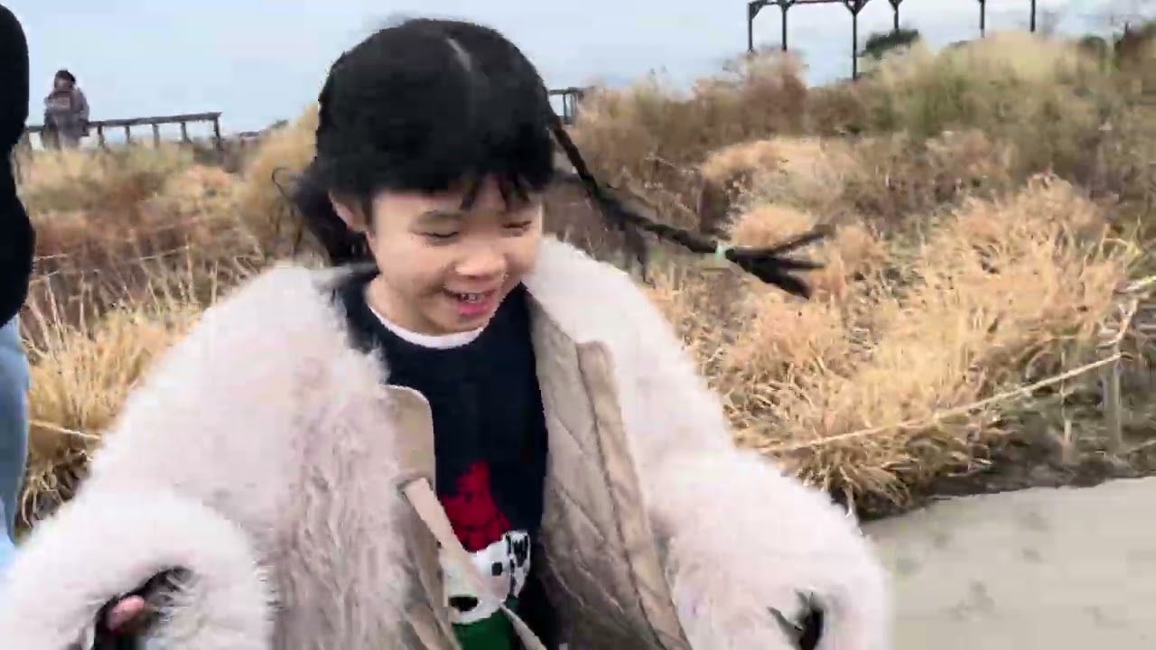 제주도 | 겨울 | 여행 | 채봉이네 | 구독 | 올레시장 | 오마이코티지 | 고양이 | 제주항공