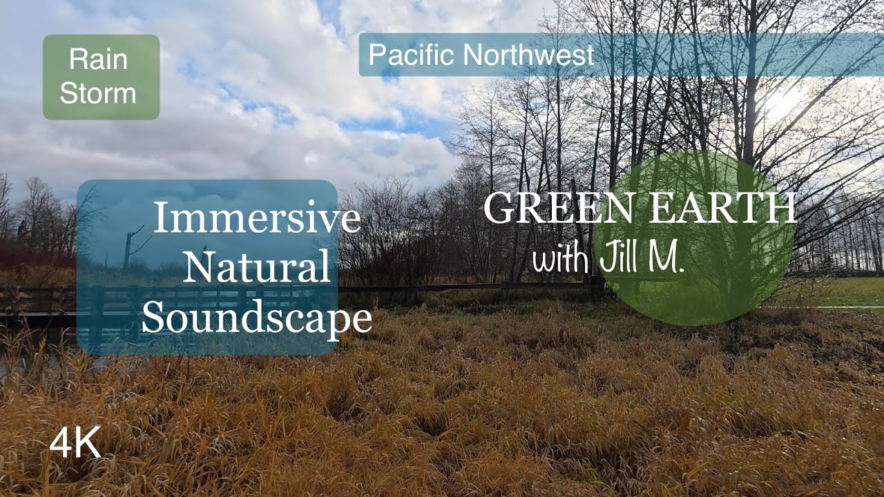 Nature Soundscape:  Rainstorm on Riparian Wetlands  -December