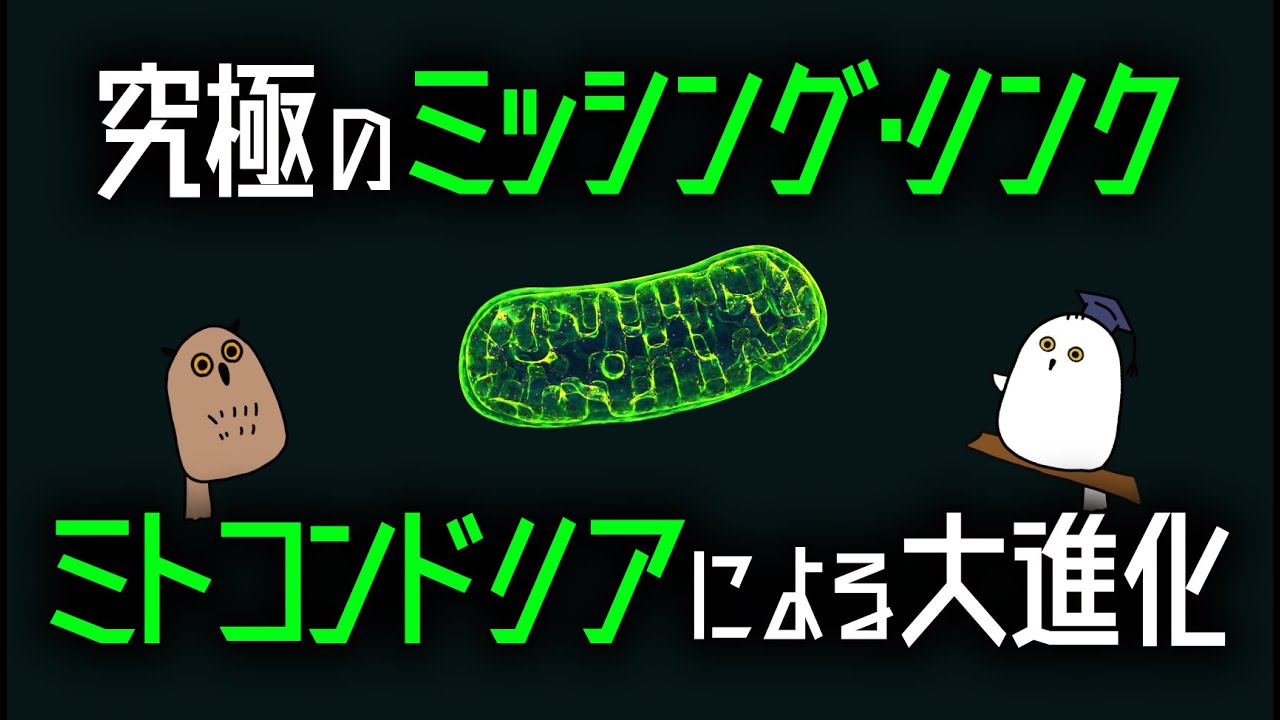 【ゆっくり解説】ミトコンドリアと真核生物の起源：生物進化最大のミッシングリンク【 古生物 / 進化 / 科学/ 生命の歴史⑥ 】