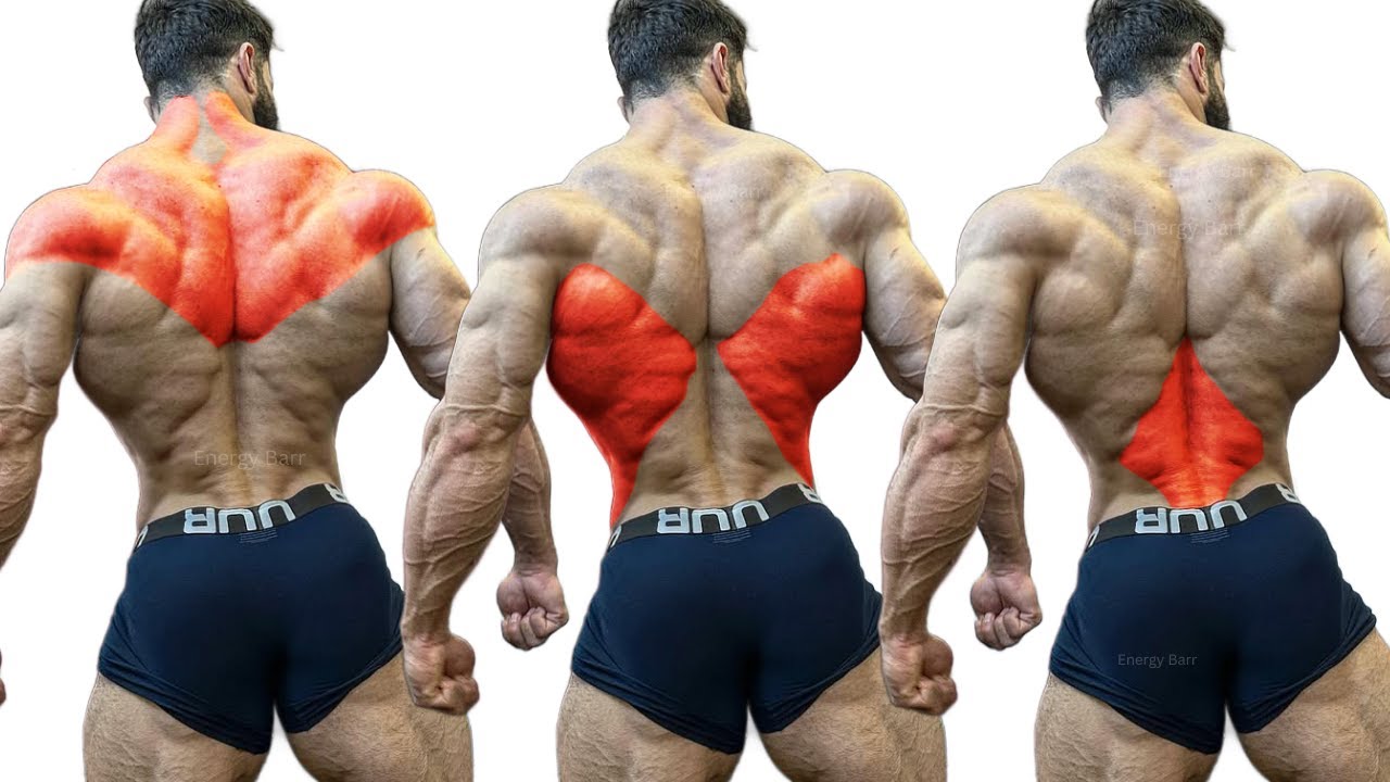 КАК СДЕЛАТЬ СПИНУ ШИРЕ И УКРЕПЛЕННОЙ | ВЫПОЛНЯЙТЕ ЭТИ УПРАЖНЕНИЯ