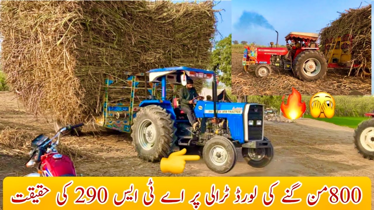 ats 290 new model power show with havi loaded sugar can toralya||newholland 640 and mf 385 porfamanc