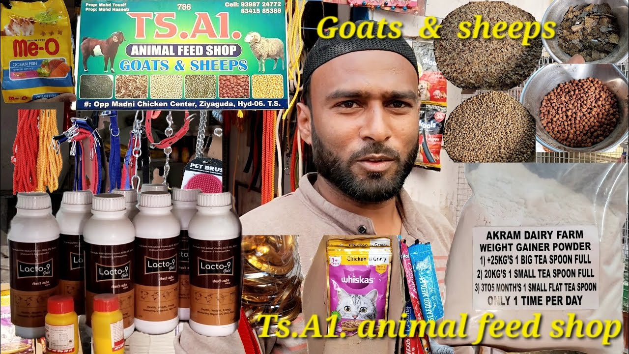 goats and sheeps feed shop | Ts goats sale | in  jiyaguda Hyderabad
