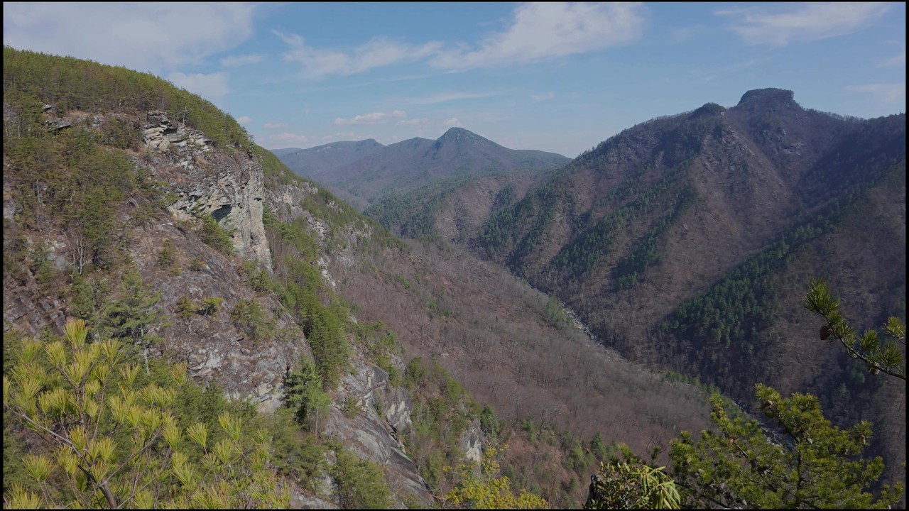 Linville Gorge & Daffodil Flats (March 2026)