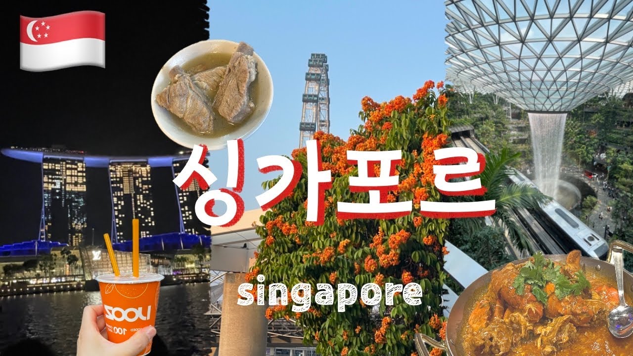7월 싱가포르 3박5일 여행🇸🇬/점보씨푸드 예약/주얼창이(jewel changi)/버드파라다이스/송파 바쿠테 본점 오픈런/납작봉숭아/야쿤카야토스트/슈퍼트리쇼