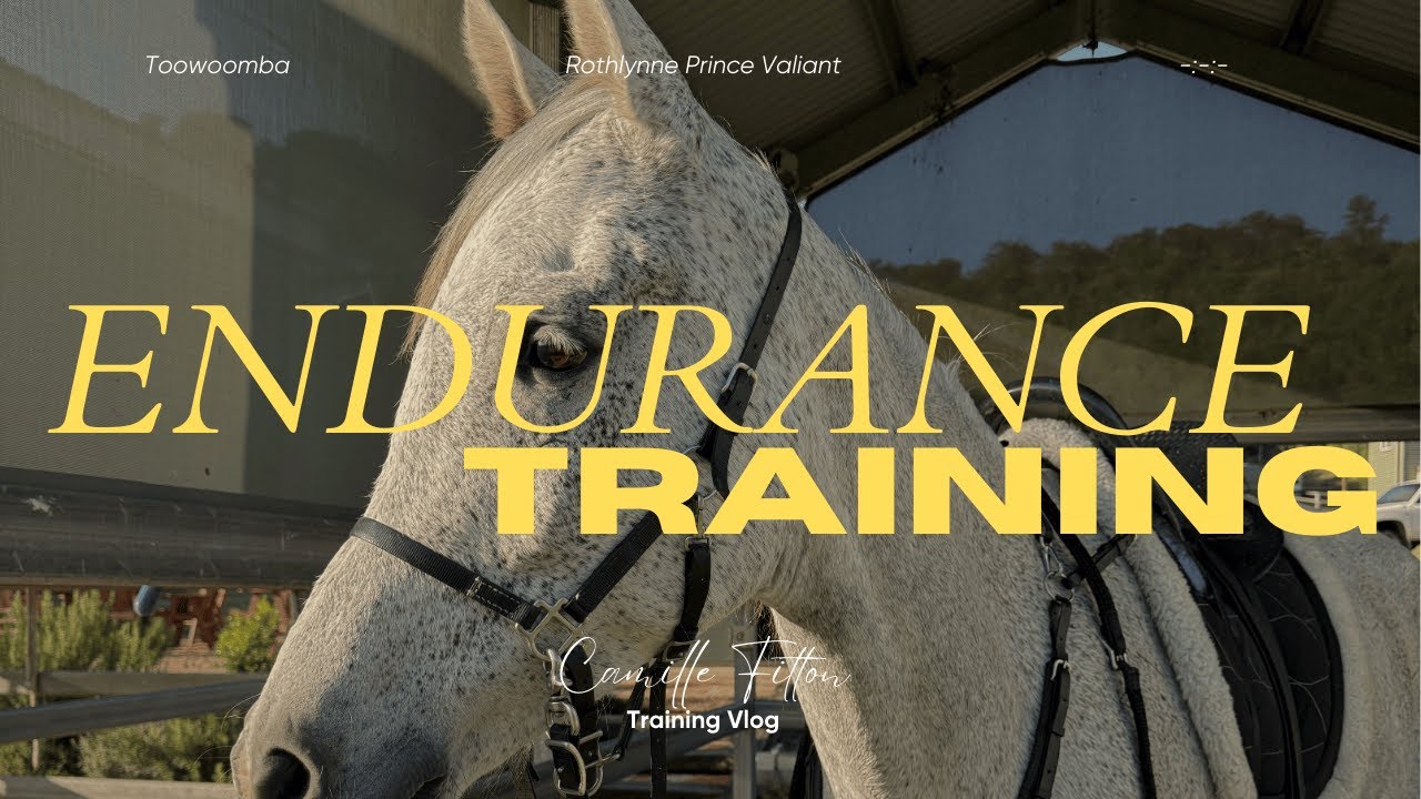 Endurance training with Prince!