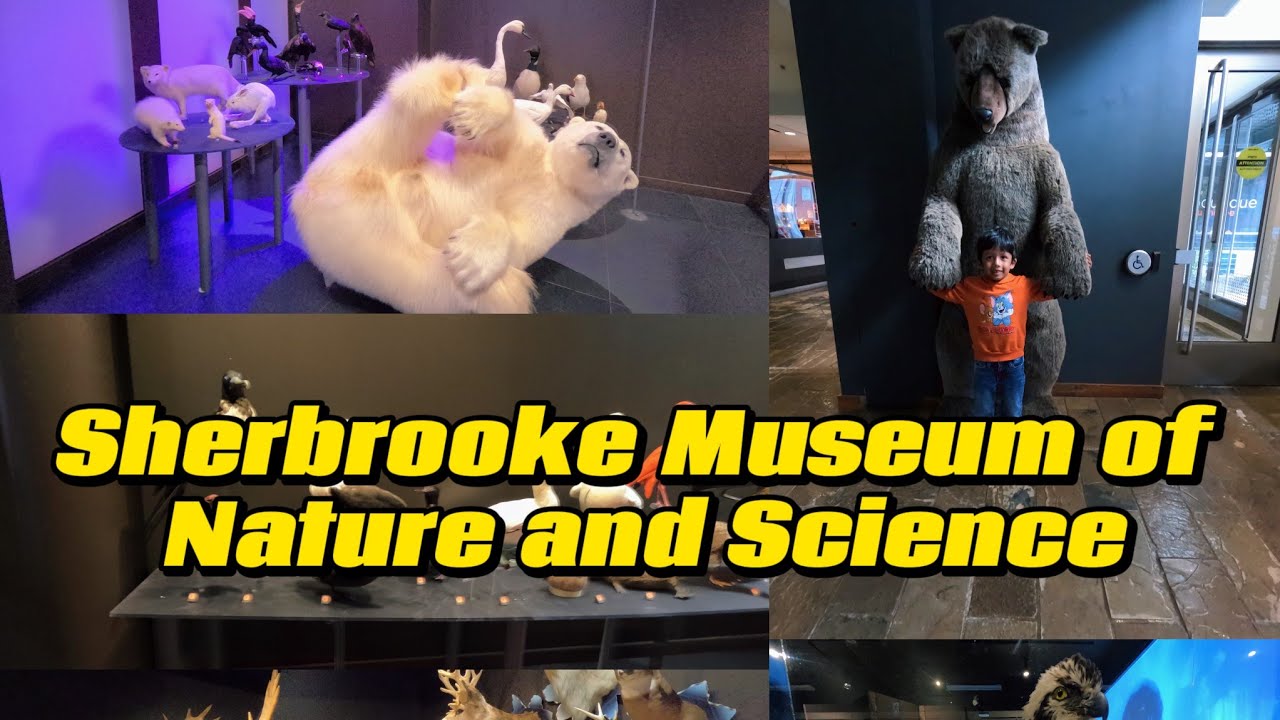 The Hidden Gems of Sherbrooke Museum of Nature and Science