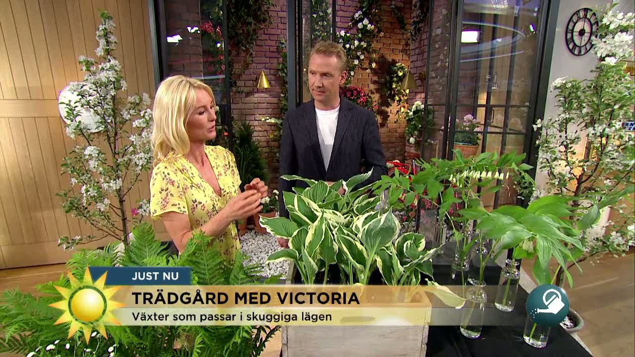 Trädgårdsmästare: 