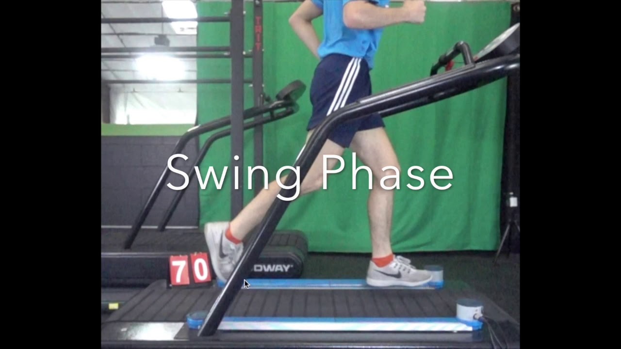 Gait 101: Breaking Down The Gait Cycle