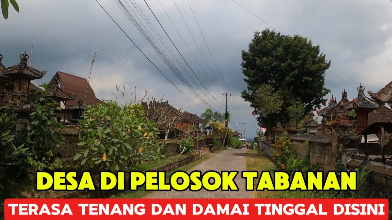 MELIHAT LEBIH DEKAT DESA DI PELOSOK TABANAN || DESA GUNUNG SALAK