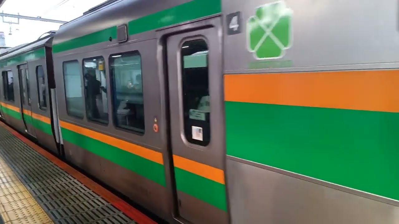 2025年11月15日「上野～小山」JR宇都宮線の左側車窓(無編集)