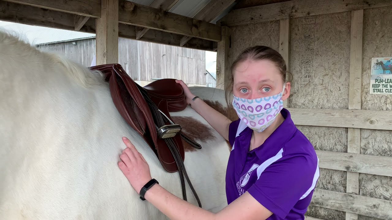 Tacking Up Your Horse