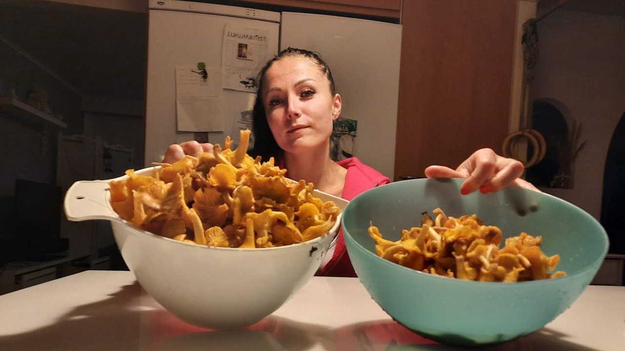 Parhaat kanttarellipaikat paljastettu