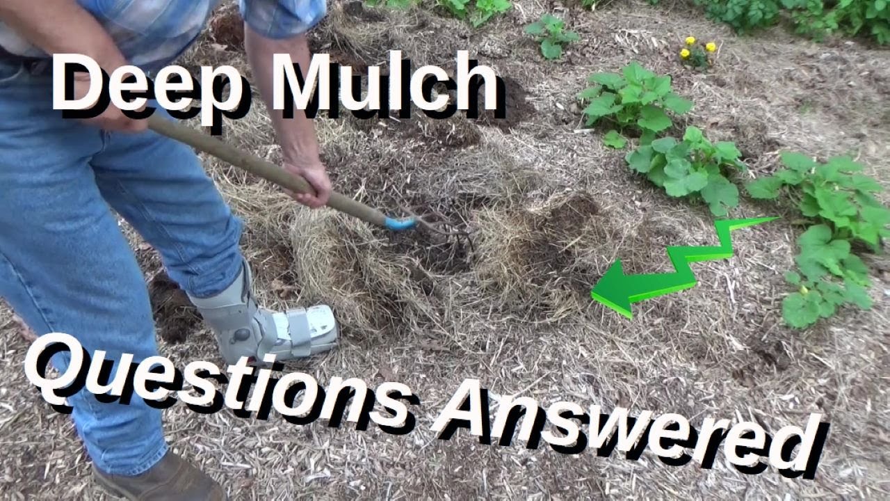Deep Mulch Garden Preparation Viewer Question What Is The Secret 5-31-2022