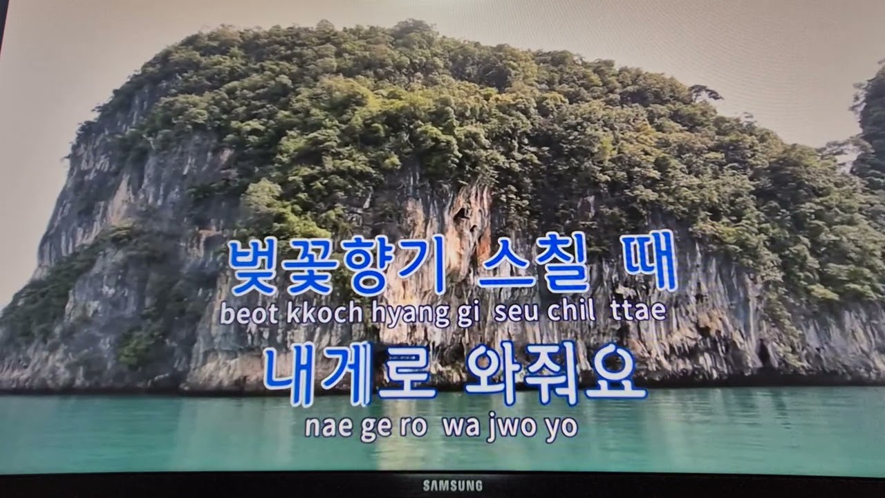 [커버] 월량대표아적심(기다리는 마음) - 홍진영