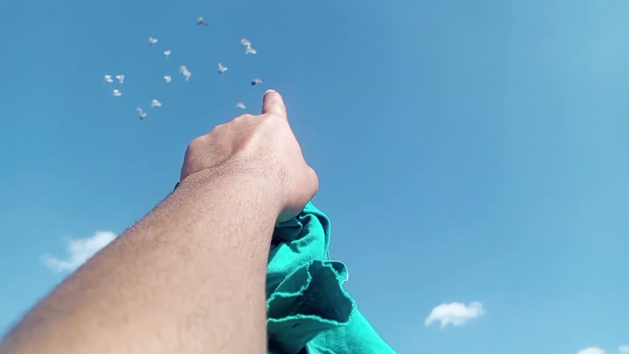 مطيار تور فول اليوم وبيضن تور كللللش  بصراويات فول مطيار            😂😂😂💔 