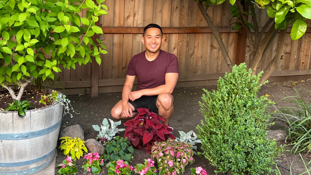 Planting Part-Sun Corner with Coleus, Salvia & Begonia