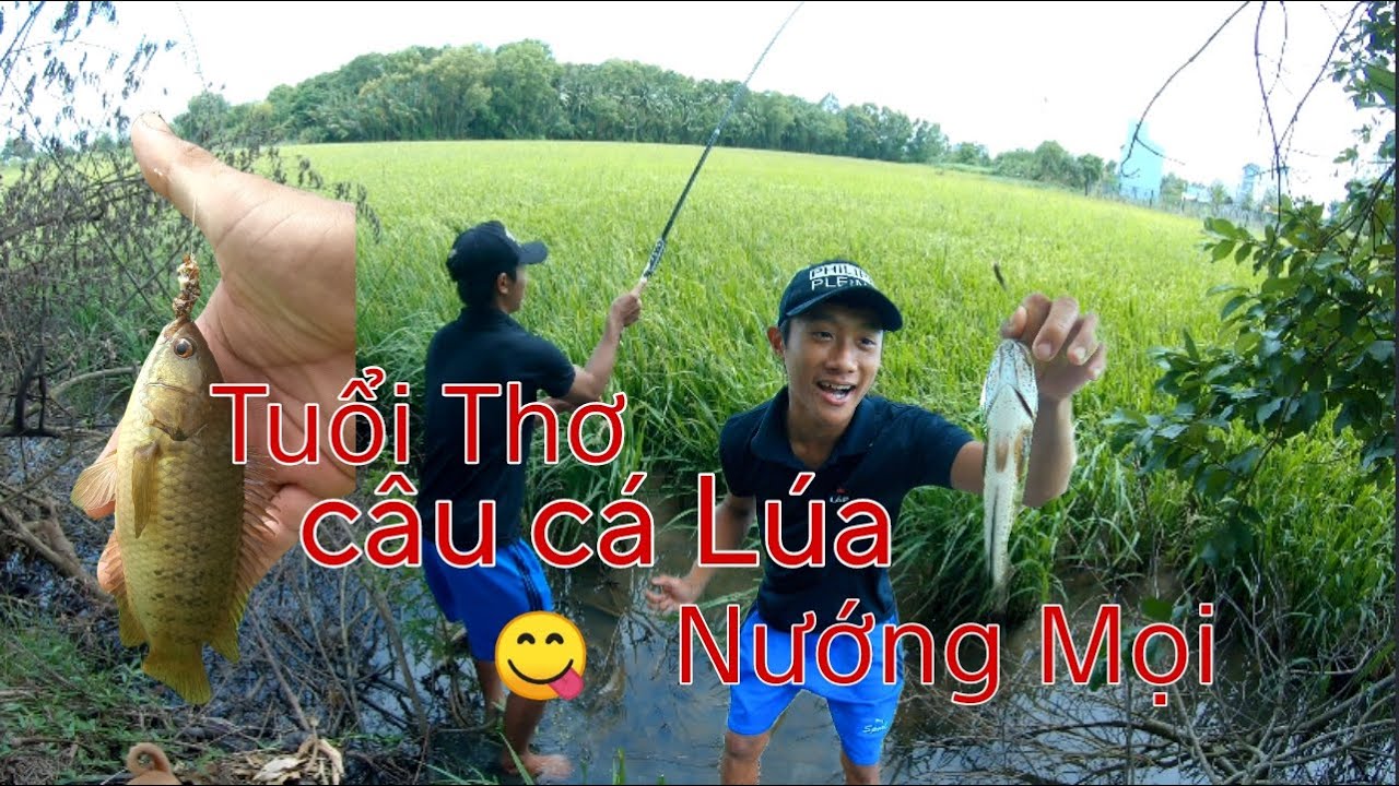 Tuổi Thơ Câu Cá Rô Lúa, Nướng Mọi Cực Ngon 😋 [ AE Tôi Vlogs ]