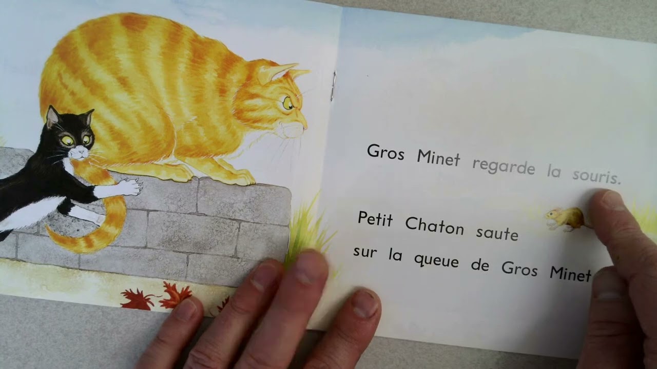 Petit Chaton et Gros Minet