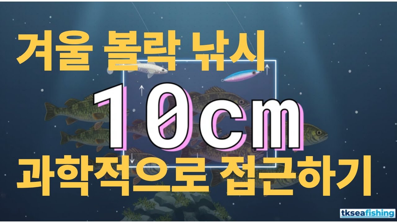 겨울 볼락 낚시, 과학적으로 접근하기
