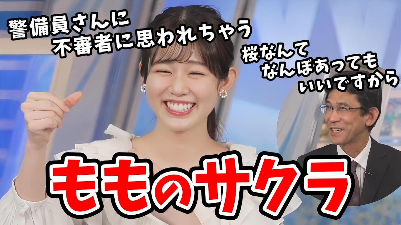 【青原桃香・山口剛央】マイ桜に登録した桃ちゃん！ゆるゆるのおもしろ名前で参戦する【ウェザーニュース切り抜き】