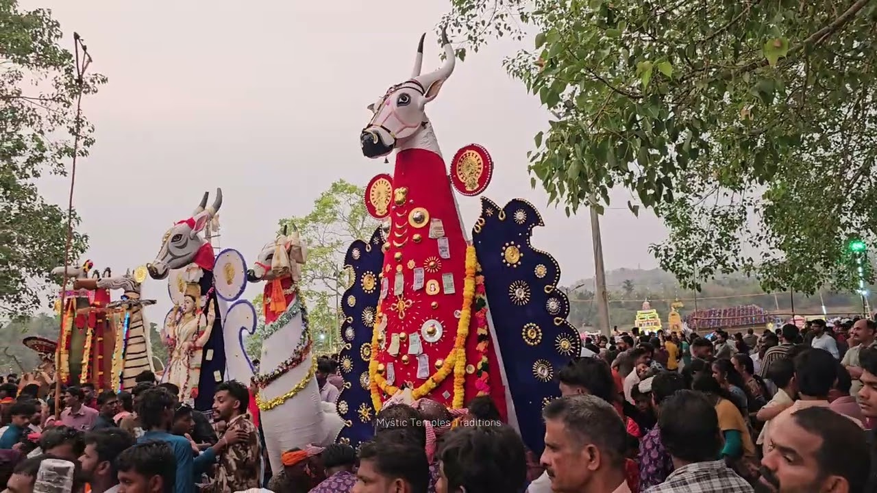 വാഴാലിക്കാവ് വേല | Vazhalikkavu Vela.​