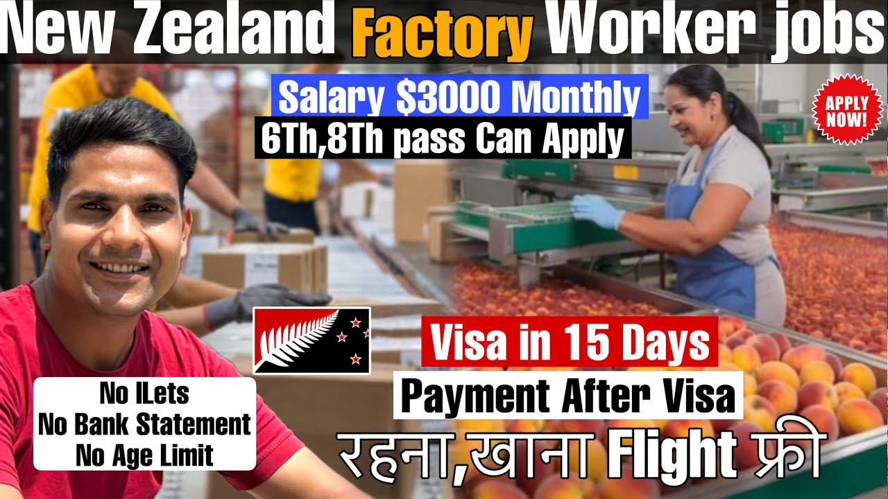Factory worker job in new zealand 🇳🇿 | 8 hour duty accommodation provide by the company