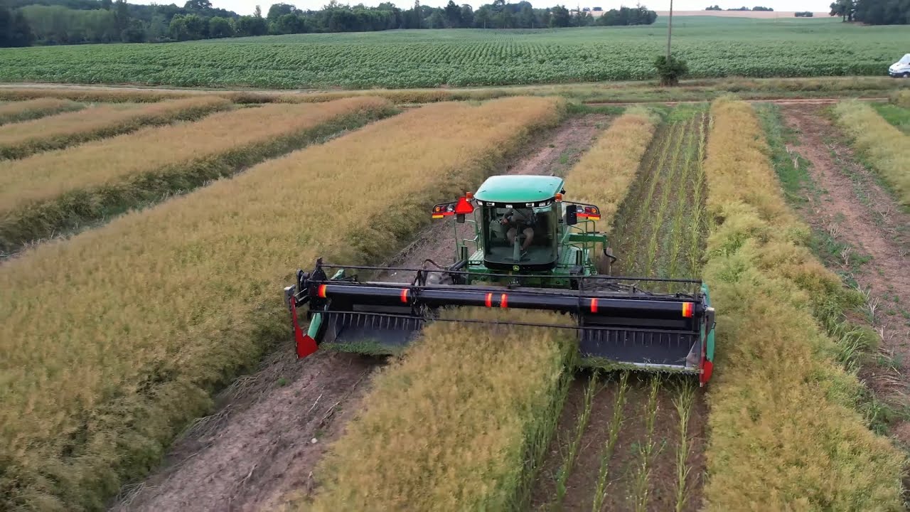 Fauchage des Colza Semence 2023 dans le Gers | John Deere W150 en 7m50