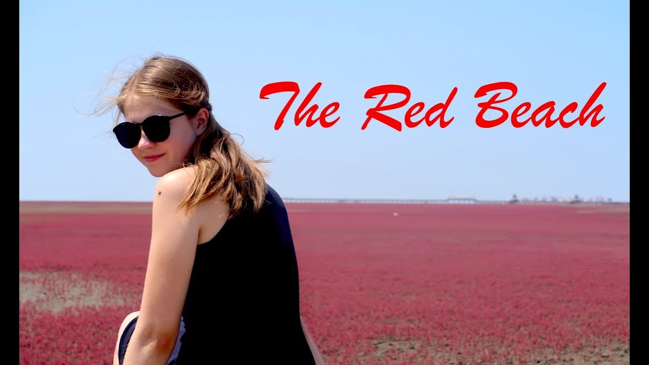 The Red Beach Panjin China | 盘锦红海滩 🇨🇳