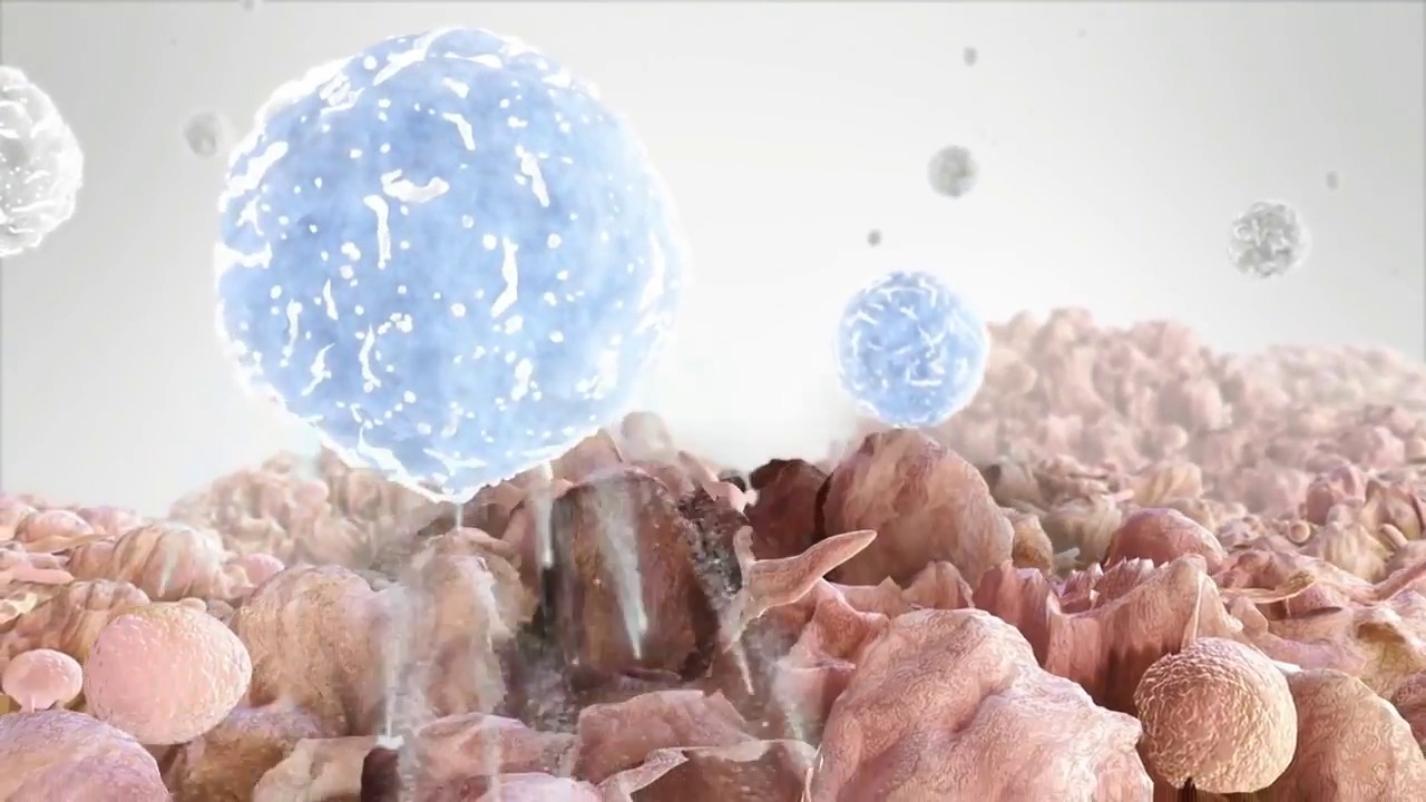 Immunology & Cancer: The PD-L1 Pathway [HD]