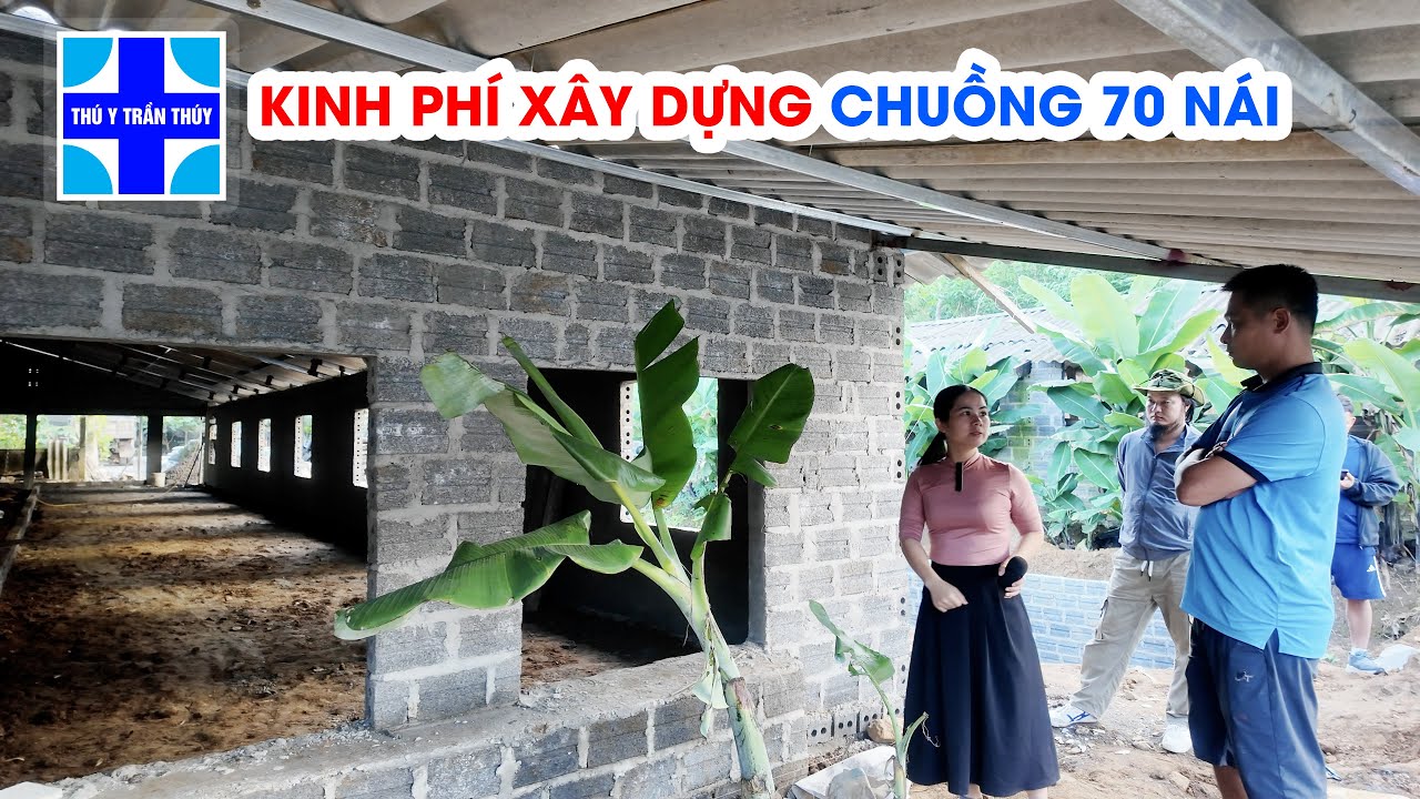 Trại 70 nái đầu tư hết bao nhiêu tiền?