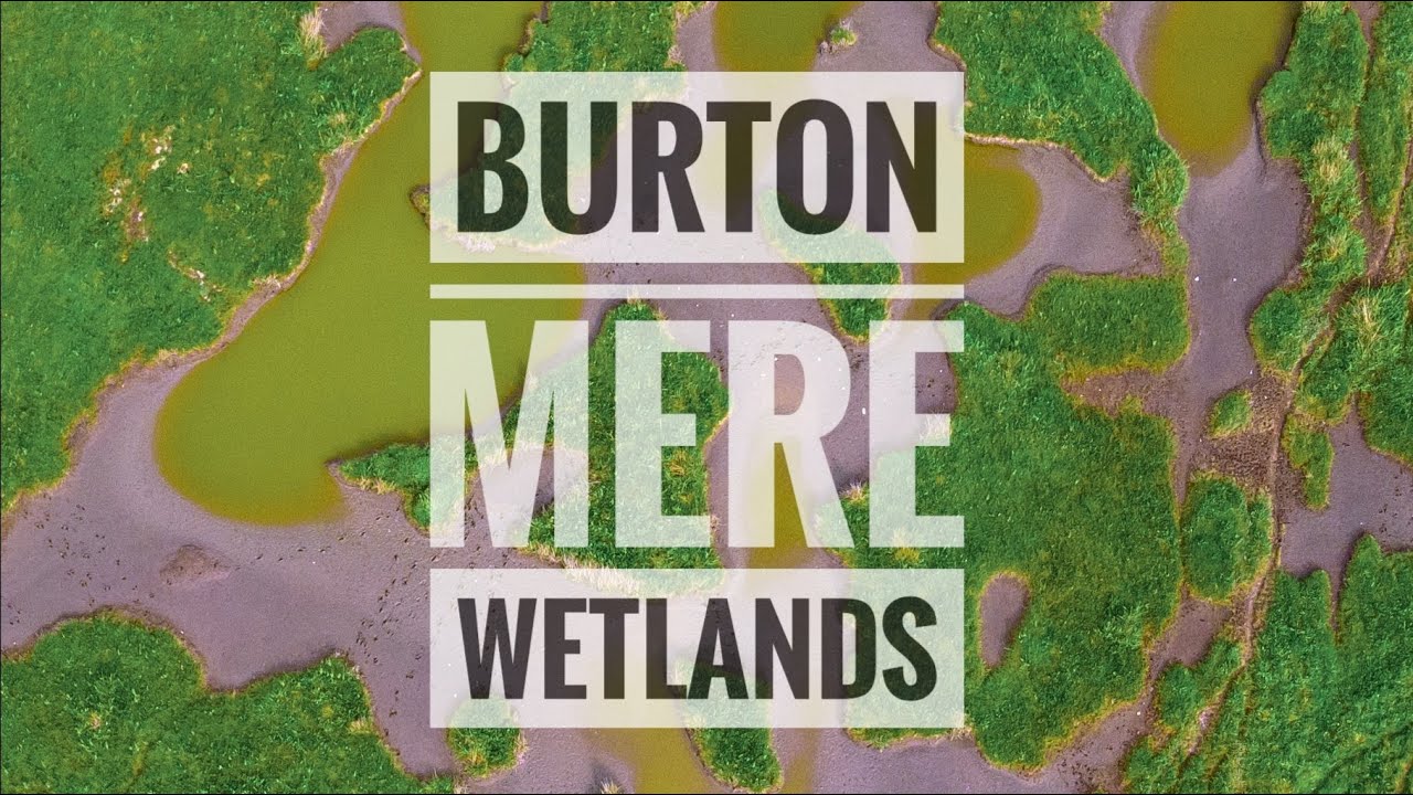 RSPB Burton Mere Wetlands (Neston) - 2020