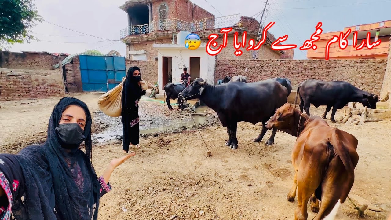 Abu G ki Help ki Bohat Mushkil Hai 😰 || Zaini Baji
