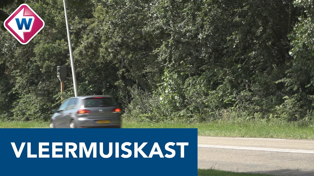 Vleermuiskast of flitspaal... verwarring grappig, of gevaarlijk?